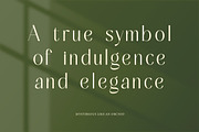 Mugia Elegant Modern Display Font, a Sans Serif Font by timelesstype.co (Thumbnail 5 of 20)