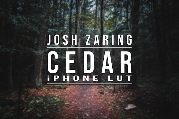 CEDAR LUT for iPhone preview 7