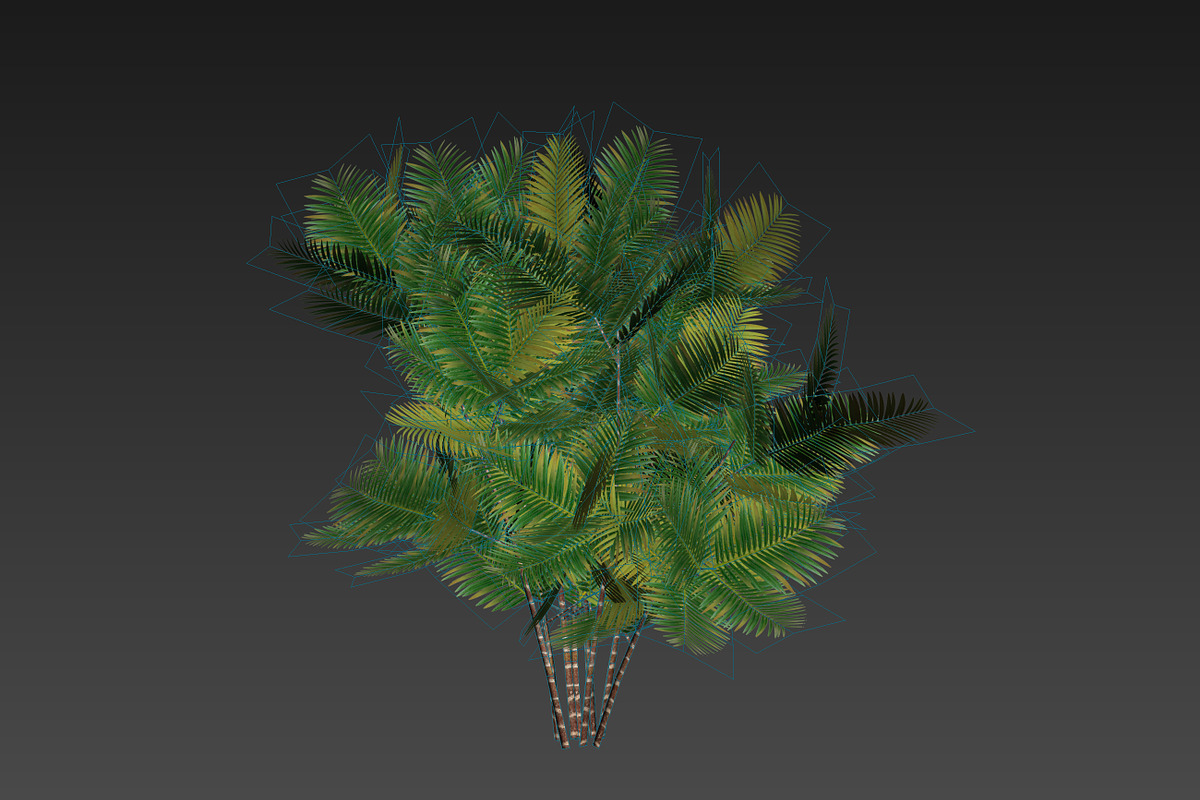 Pinanga coronata, an Environmental 3D Model by AndrewWhite (Photo 5 of 25)