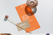 Lettertype a Stunning Display Serif, a Serif Font by Lettertype Studio (Thumbnail 14 of 20)