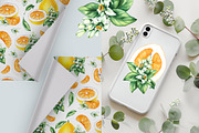 Pomelo Fruit Watercolor Collection, a Food Illustration by SashaKondr (Thumbnail 7 of 13)