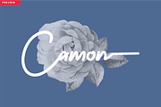 Megalithic Handwritten, a Script Font by JNJ Studio (Thumbnail 6 of 8)