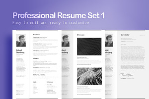 Professional Resume Set 1 Vertical, a Resume Template by DEFNST