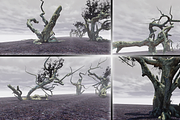 Witchwood, an Environmental 3D Model by MotuProprio (Thumbnail 5 of 7)