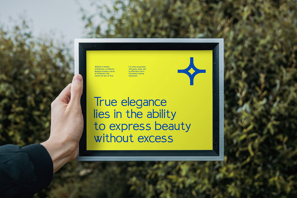 Forgate Sans Serif Typeface Font, a Sans Serif Font by Vadovastd (Photo 6 of 7)