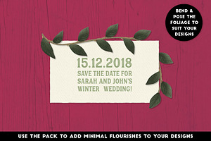 The Vector Florist - Brushes: Winter