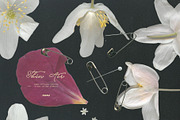 Thin Air - Soft Collage Elements, an Object Graphic by Purple (Thumbnail 6 of 15)