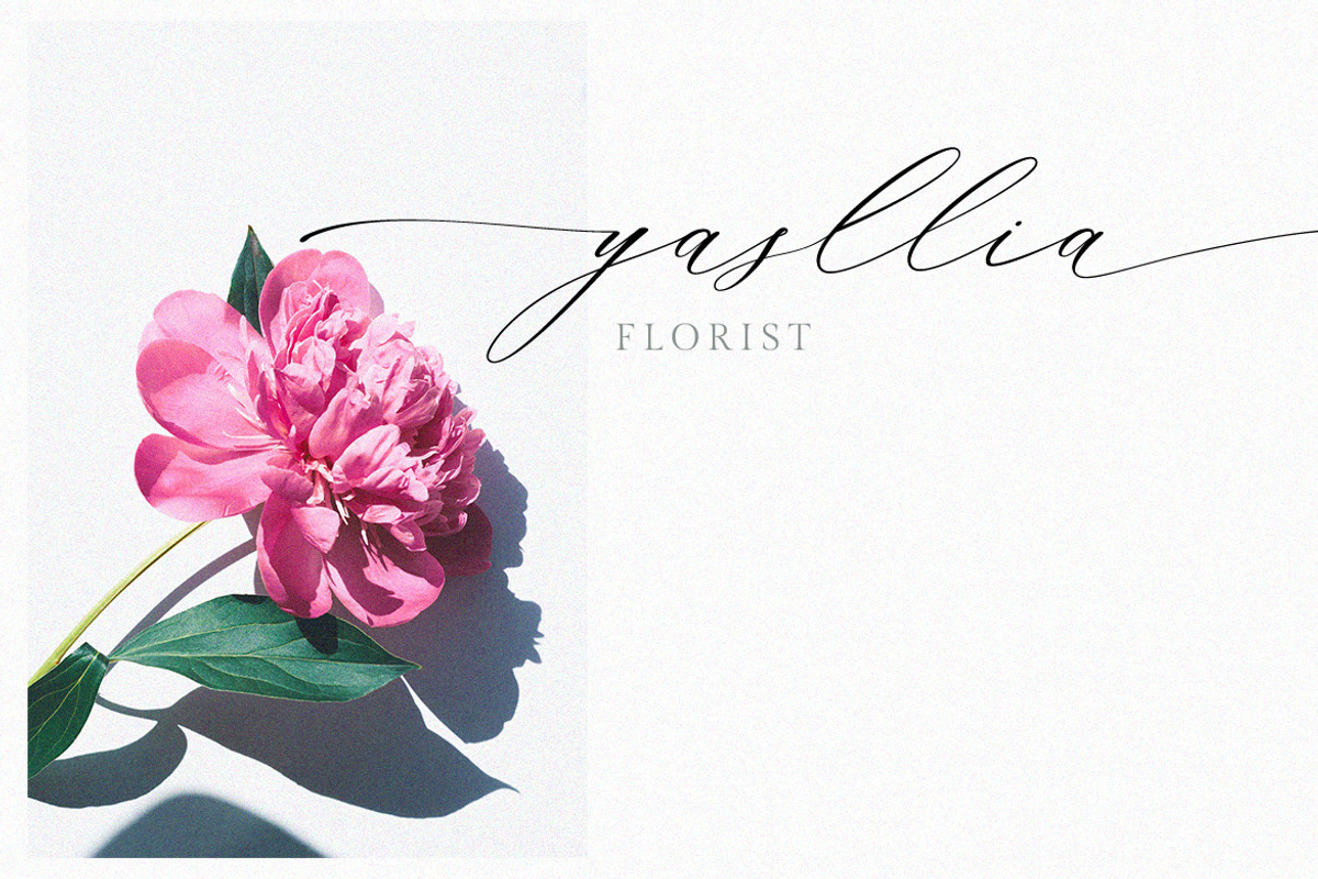 Planolla | Modern Calligraphy preview 7
