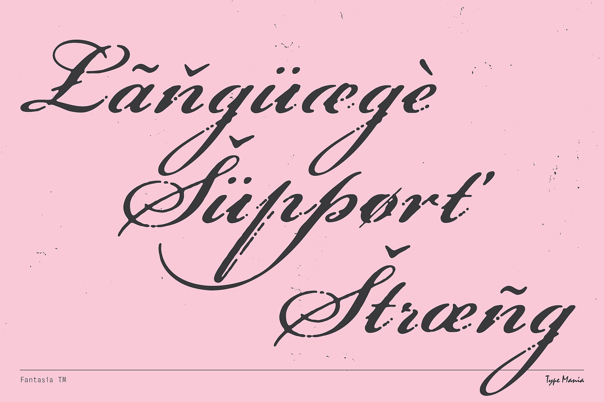 Fantasia TM – Dreamy Script, a Font by Type Mania (Photo 11 of 12)