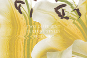 Psychedelic Indie Floral Collage, an Object Graphic by ana & yvy (Thumbnail 11 of 16)