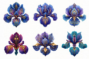 Iris Paisley Clipart Bundle, a Seasonal Illustration by Designworld (Thumbnail 2 of 10)