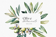 Olive Botanicals – Watercolor, a Decorative Illustration by ThaismotaCreativeCo (Thumbnail 5 of 9)