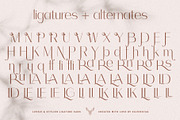 Celine - Chic Ligature Sans & Extras, a Sans Serif Font by SilverStag Type Foundry (Thumbnail 20 of 23)