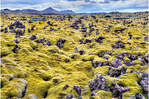 Lava stones with moss in Iceland, a Nature Photo by Leonid Andronov