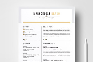 Curriculum Vita Resume CV Design