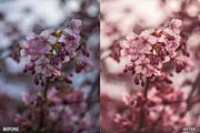 Sakura Rose Gold Lightroom Presets, a Preset Add-On by AAA Presets (Thumbnail 21 of 23)