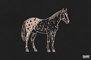 Vintage Spotted Appaloosa Horse, an Object Graphic by SharpMarketplace (Thumbnail 1 of 4)