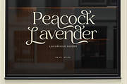 Xaviera - Luxury Serif Font, a Serif Font by Say Studio (Thumbnail 7 of 13)