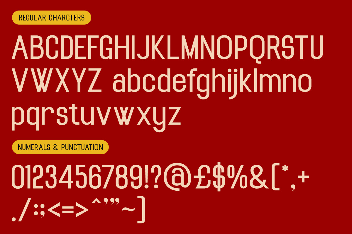 Tightrope – Condensed Sans Serif, a Sans Serif Font by Vadovastd (Photo 8 of 8)