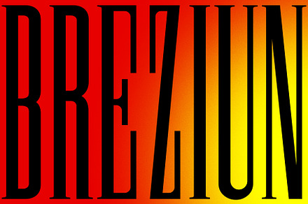 Breziun | Condensed Serif Font