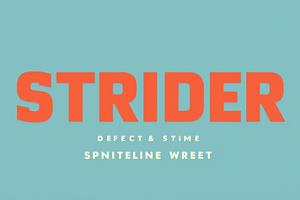 Strider - Bold Serif Display