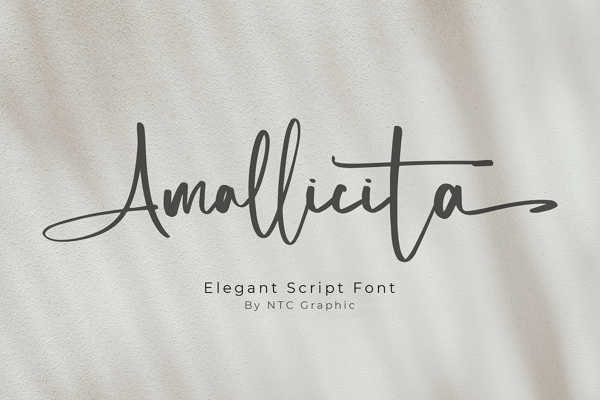 Amallicita - Elegant Script Font, a Script Font by NTC Graphic (Photo 1 of 9)