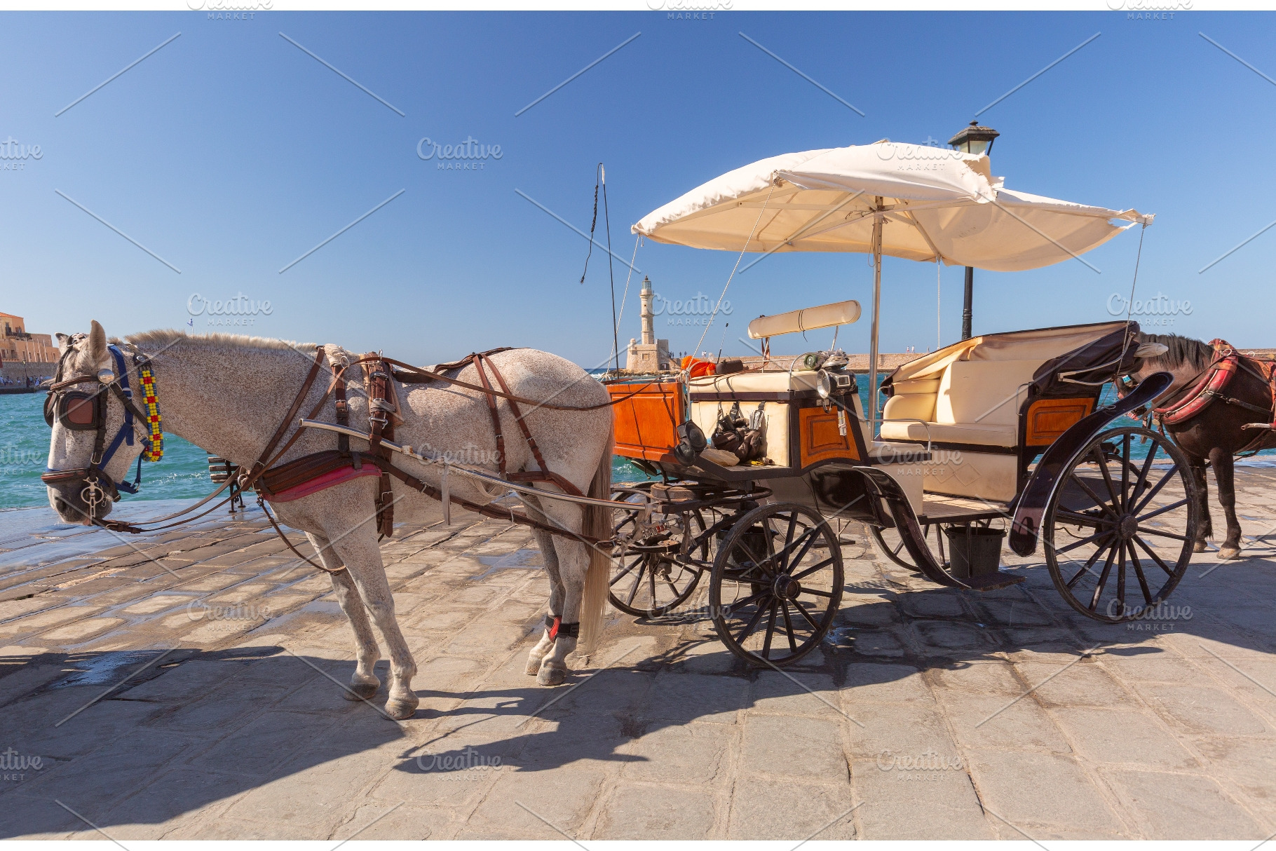 Horse and Carriage on the Venetian, a Transportation Photo by kavalenkava