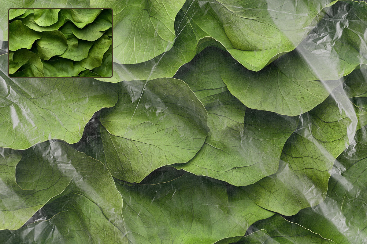 42 Transparent Plastic Film Overlays, a Texture Graphic by Ksuview (Photo 5 of 6)