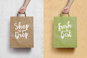 Maloishe Brush Script Font, a Script Font by Design Panoply (Thumbnail 7 of 10)
