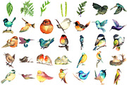 95 Bird Watercolor Clipart Graphics, an Animal Illustration by LilyBoo Clipart (Thumbnail 2 of 4)