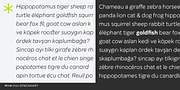 Mirai, a Sans Serif Font by GT&CANARY (Thumbnail 4 of 7)