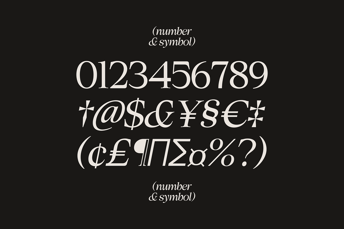 Chelory - Family Serif, a Serif Font by Marvadesign (Photo 14 of 14)