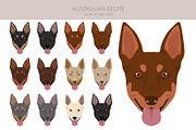 Australian Kelpie clipart, an Illustration by pet design shop (Thumbnail 5 of 6)