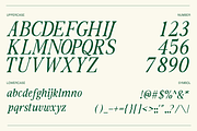 The Foriene Serif Font, a Serif Font by Rasio Studio (Thumbnail 3 of 15)