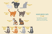 Cat breeds vector clipart, an Object Graphic by Trinibis (Thumbnail 4 of 11)