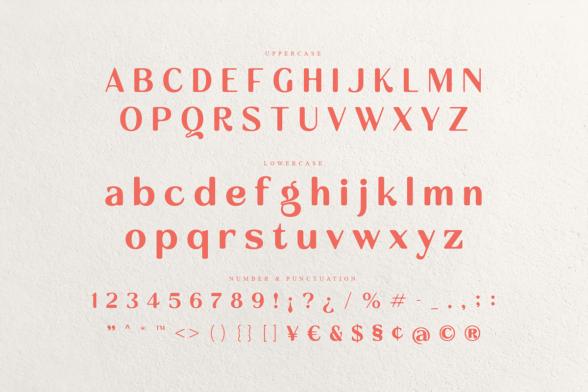 Ravlco — Retro Display Sans, a Sans Serif Font by Almeera Std (Photo 8 of 10)