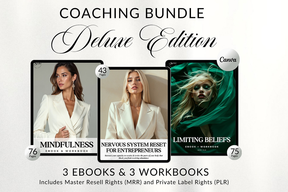 Coaching Bundle EBooks mrr plr, a Brochure Template by CopertiniStudio (Photo 1 of 10)