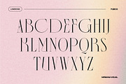 Fubiox - Display Serif, a Serif Font by Nirmana Visual (Thumbnail 5 of 11)