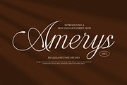 Amerys Wedding Script Font, a Script Font by Elegant Font (Thumbnail 1 of 9)