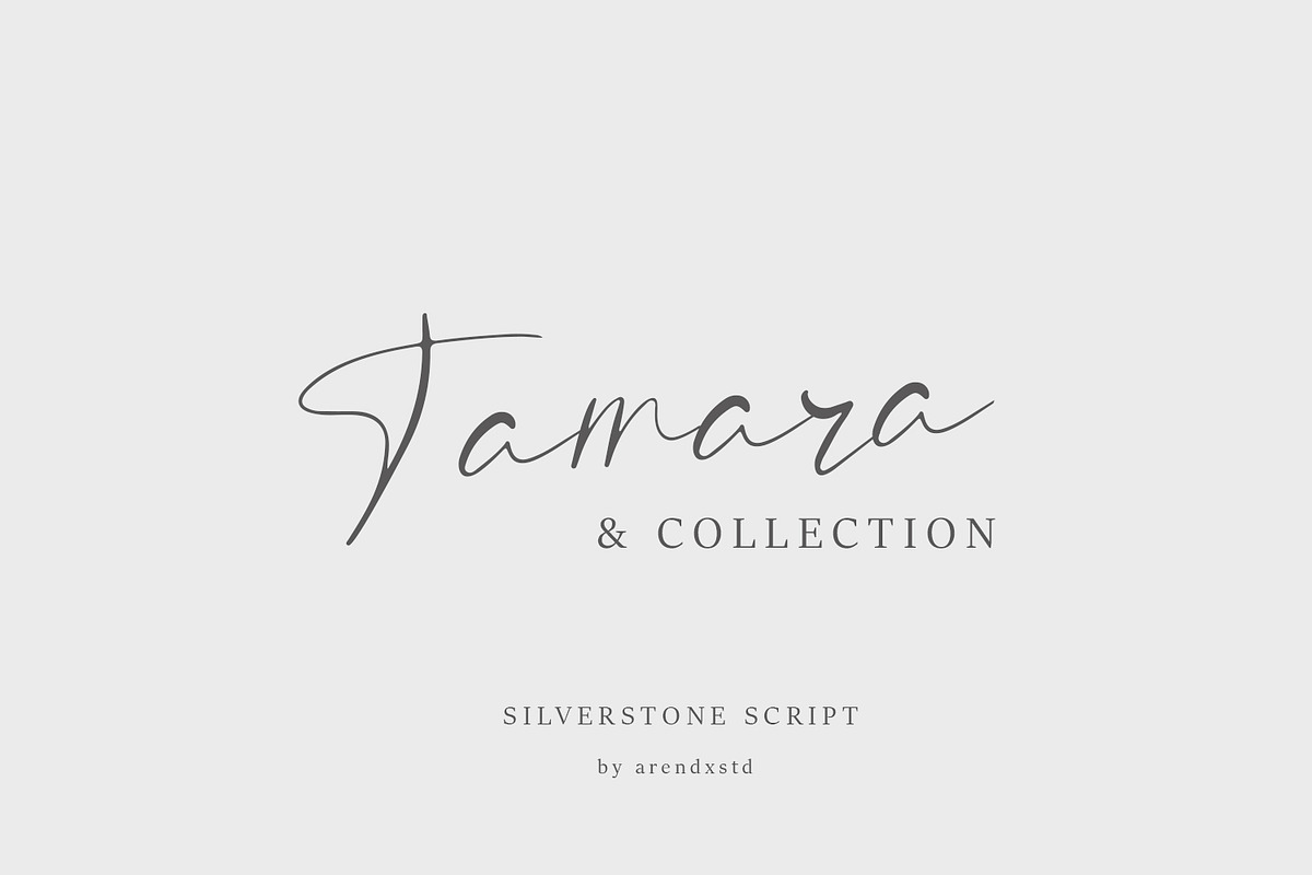 Silverstone - Calligraphy Font preview 3
