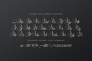 Platinum script, a Script Font by Pista Mova (Thumbnail 8 of 11)