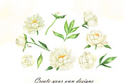 White peonies watercolor clipart, an Illustration by OlDm_Shop (Thumbnail 8 of 10)