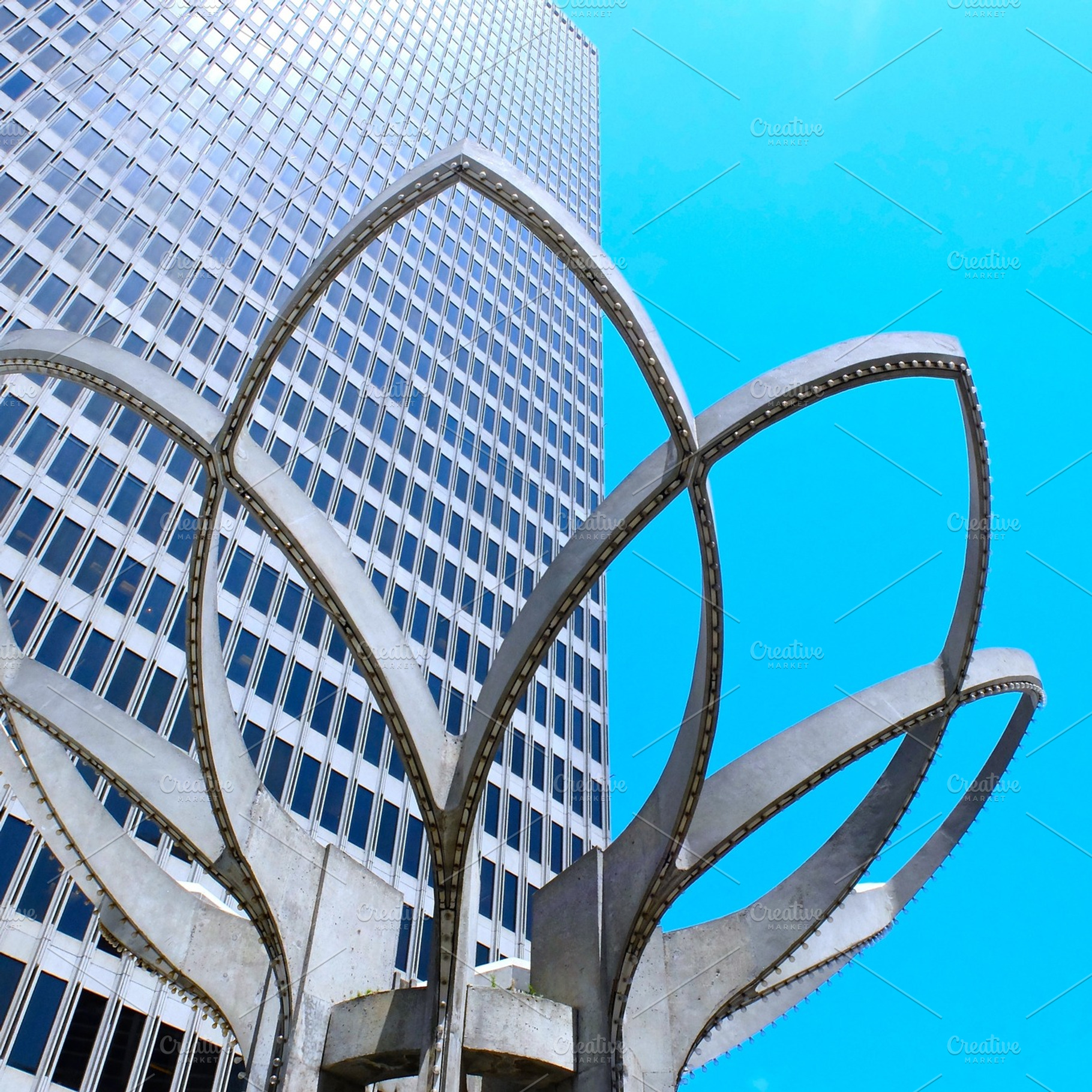 Petals And Skyscraper