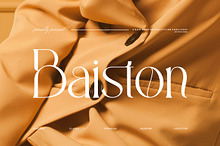 Baiston || Modern Classy Serif Font