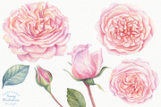 Watercolor Rose Garden, a Decorative Illustration by Irina Diasli (Thumbnail 3 of 9)