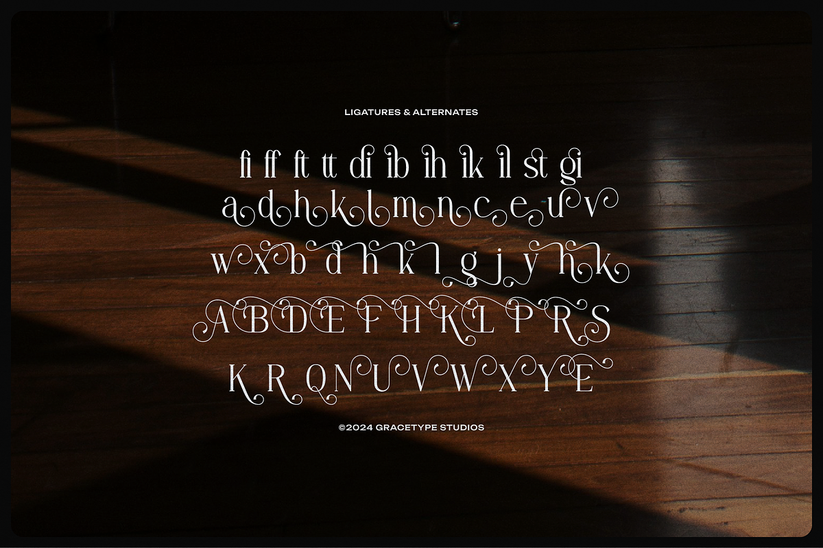 Angdiva | Display Serif Font, a Serif Font by gracetype_studio (Photo 8 of 11)