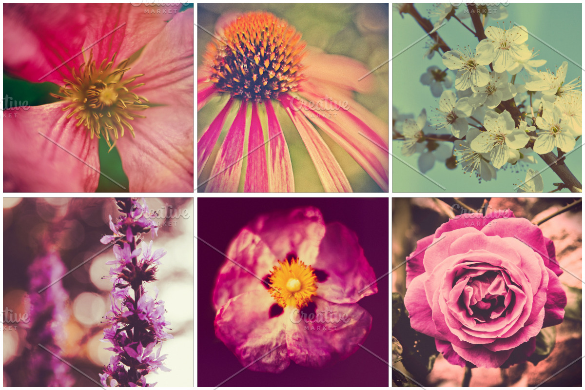 iseeyouphoto SUPAFLORA preview 8