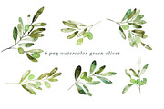 12 Watercolor Olive Branches, an Illustration by Heartmade by Claudia (Thumbnail 2 of 3)