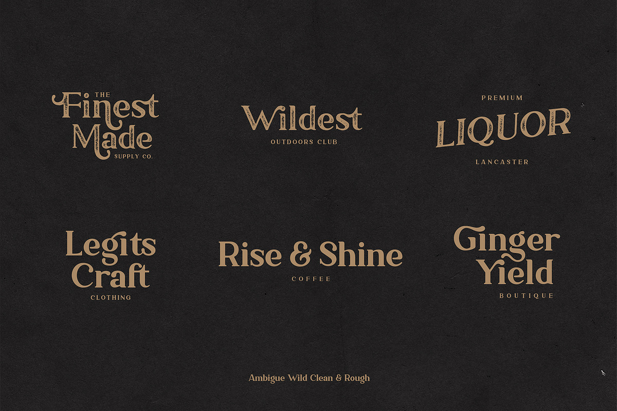 Ambigue Wild Modern x Vintage Serif, a Serif Font by Wandery Supply (Photo 20 of 22)