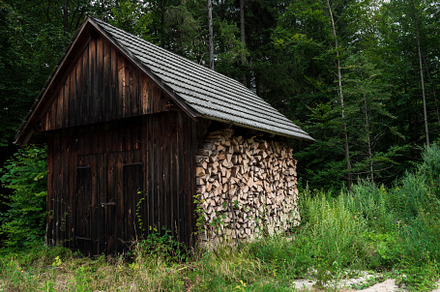 texture. pine trees in the forest.firewood.house in the forest.